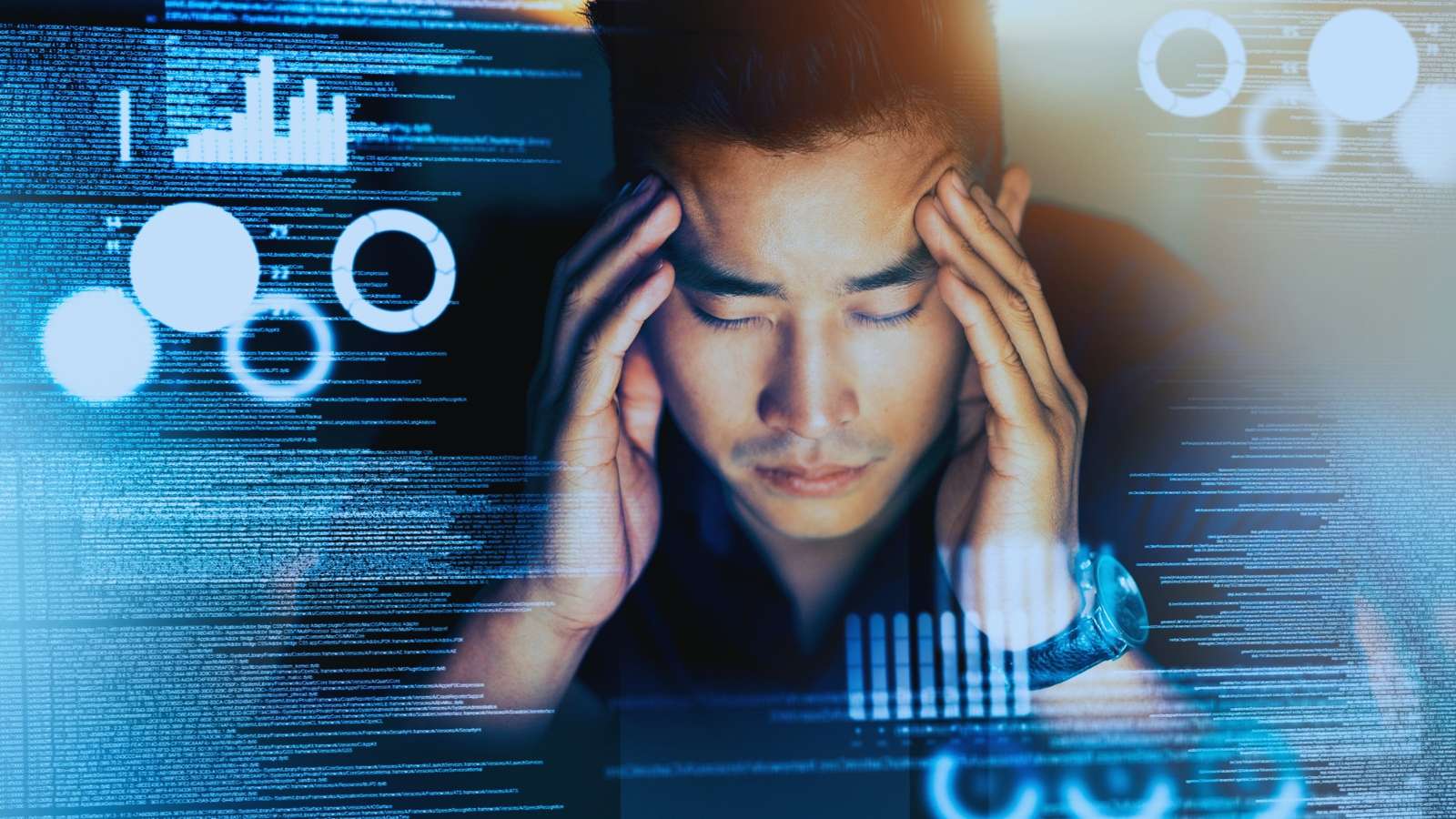 Cognitive Overload